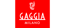 logo-Ремонт Gaggia